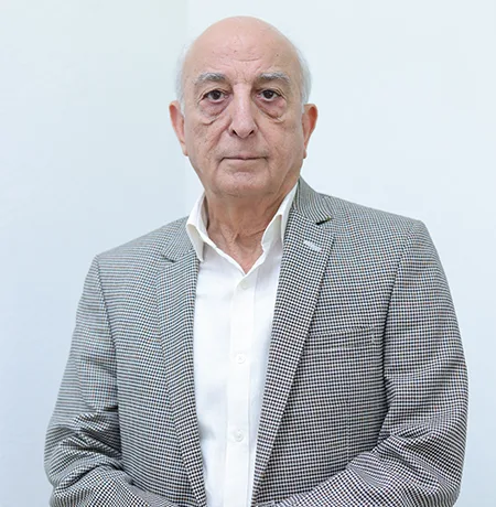 Shri V. K. Shunglu